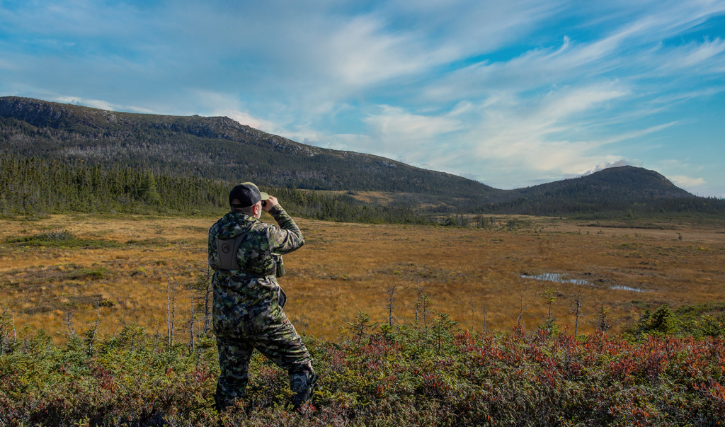 NorthBackcountry