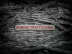 Traffic humain-tacticode